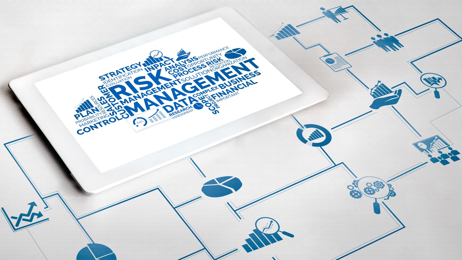 IPAD Showing Risk Management Information 