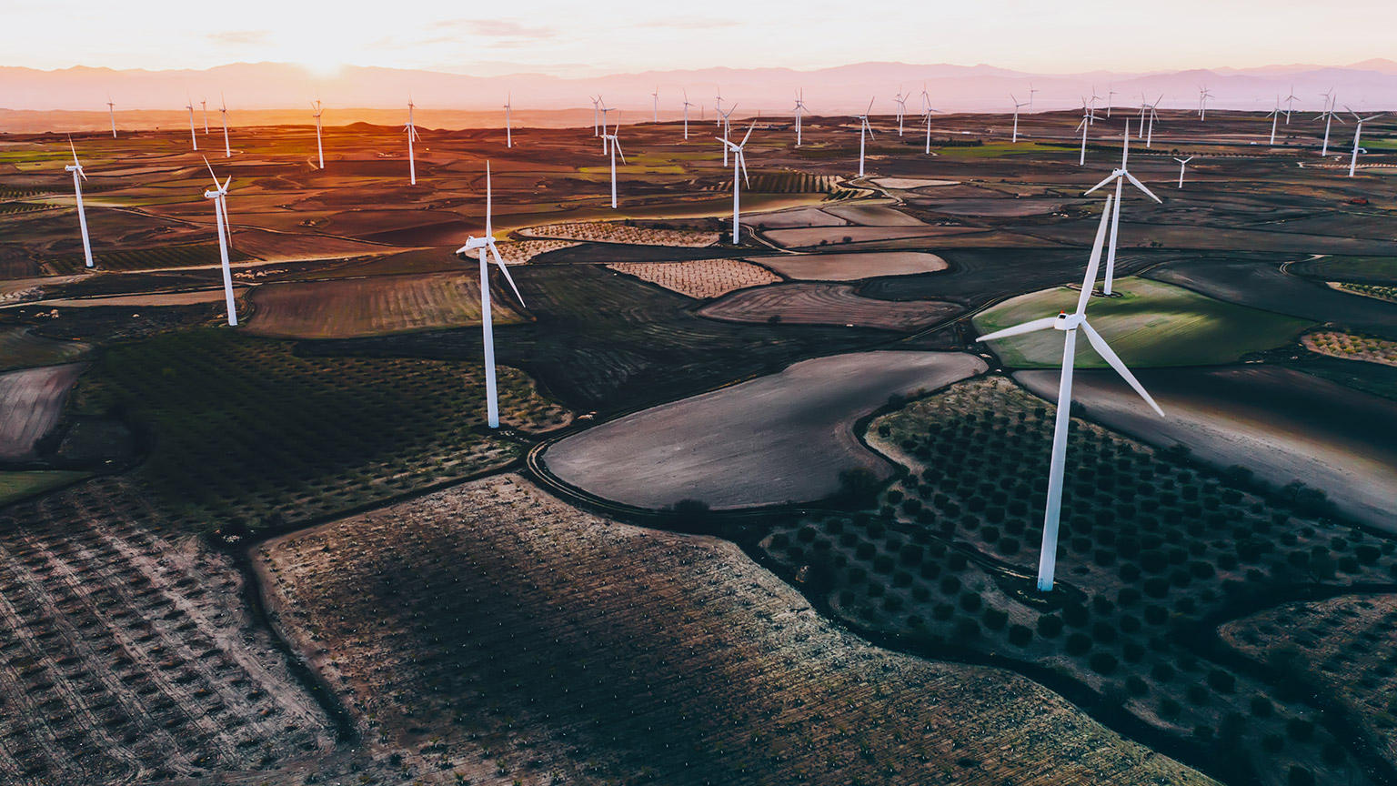 Farming area with wind turbines at sunset