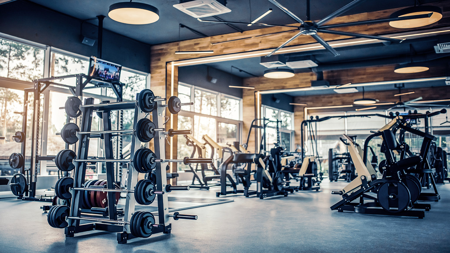 Modern gym interior