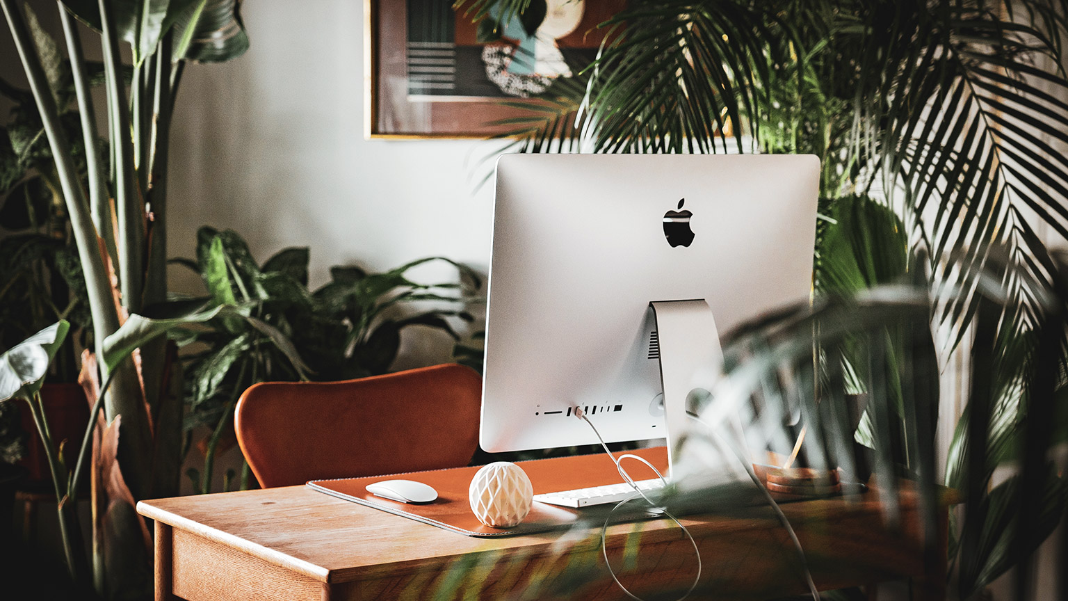 A cozy desk space surrounded by greenery in a modern office space