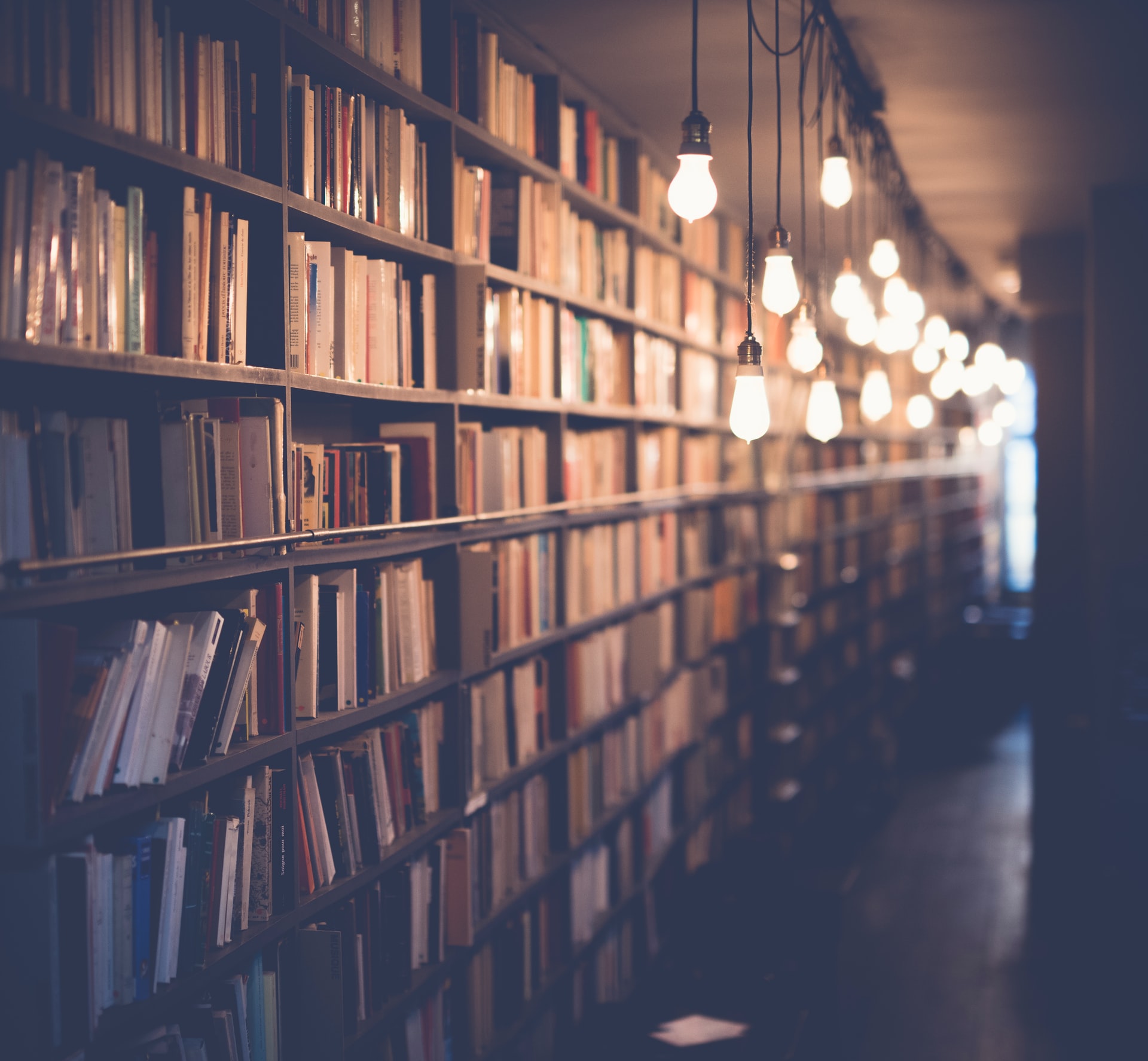 Library with hanging bulbs. Long walkway with bookshelves covering the walls