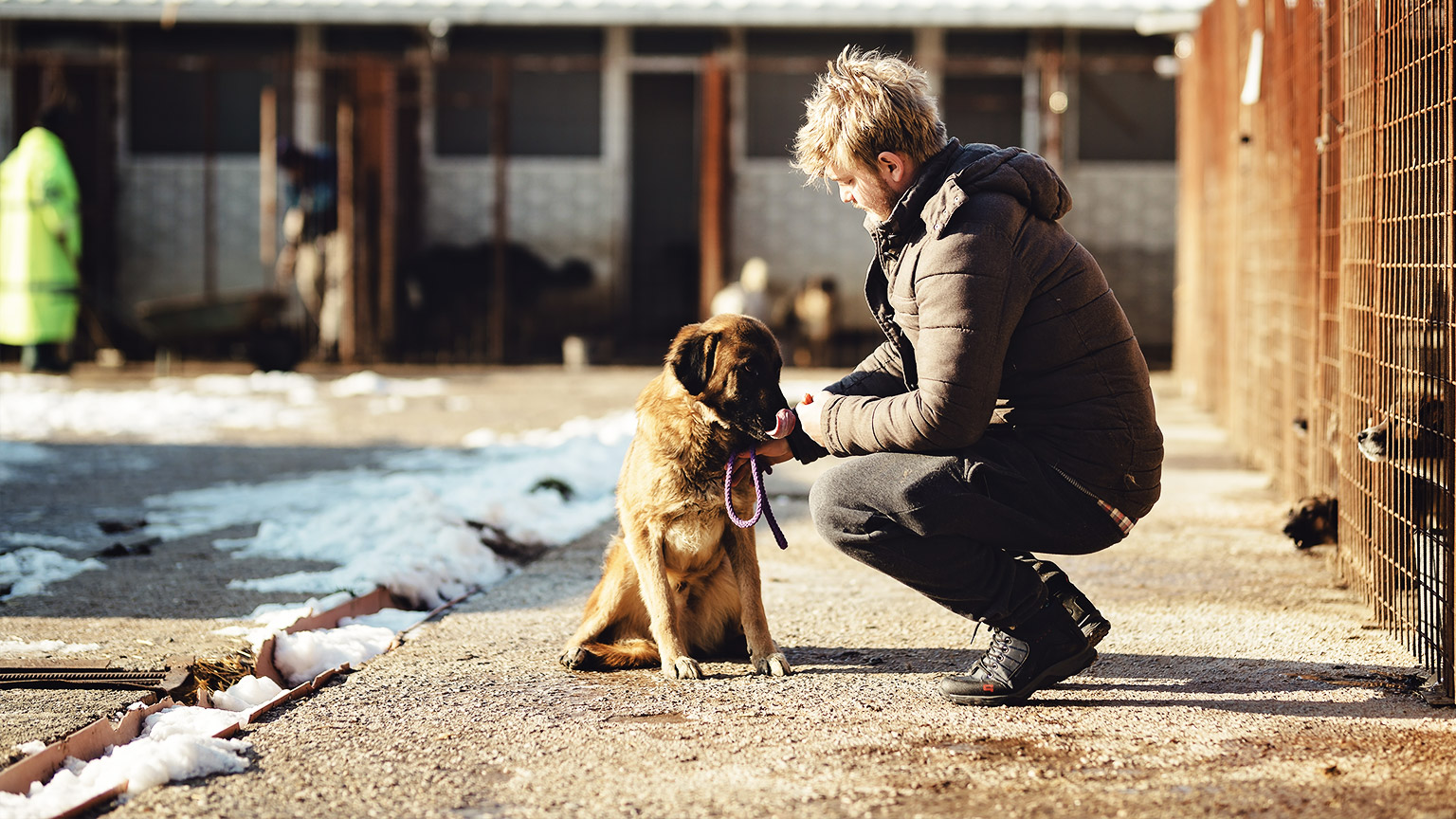 A person interacting with a dog outside of an animal shelter