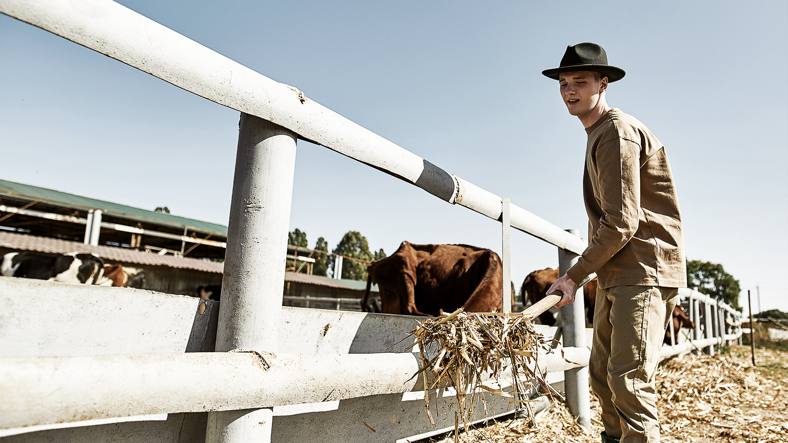 A person feeding livestock