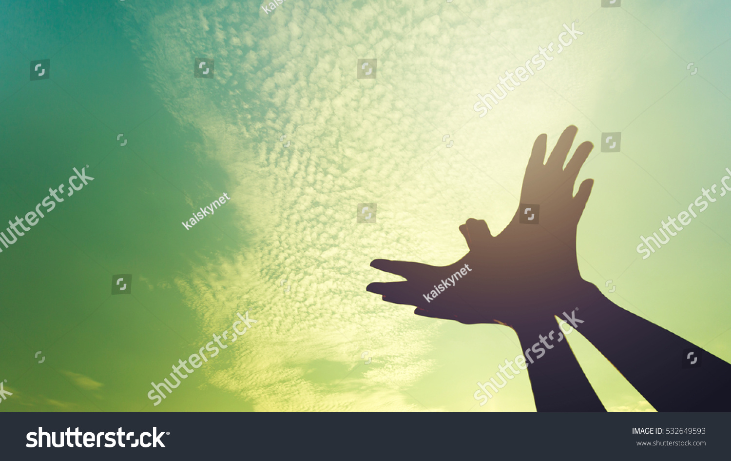 silhouette of a hand gesture like bird flying