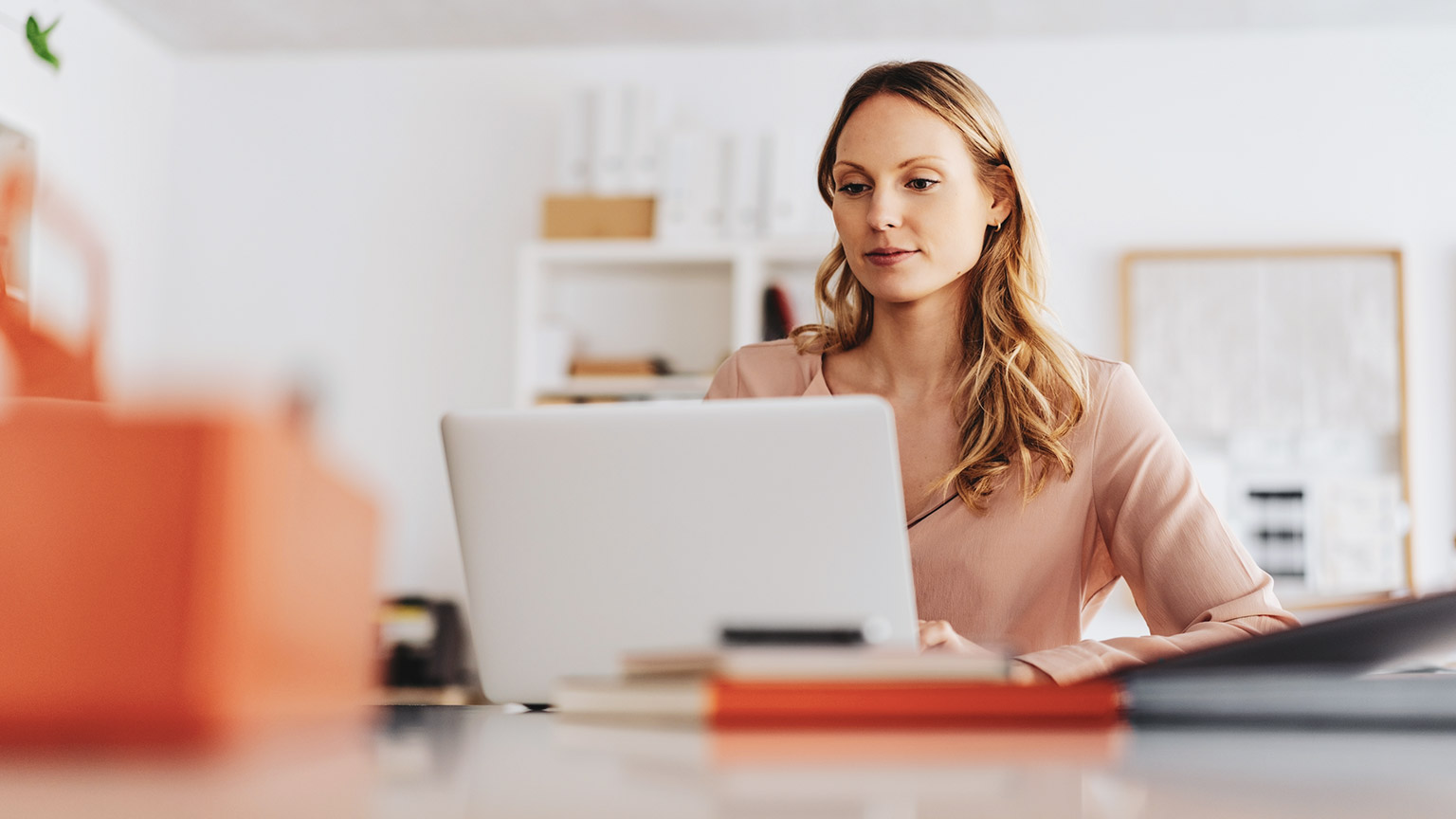 An accountant using software on a laptop