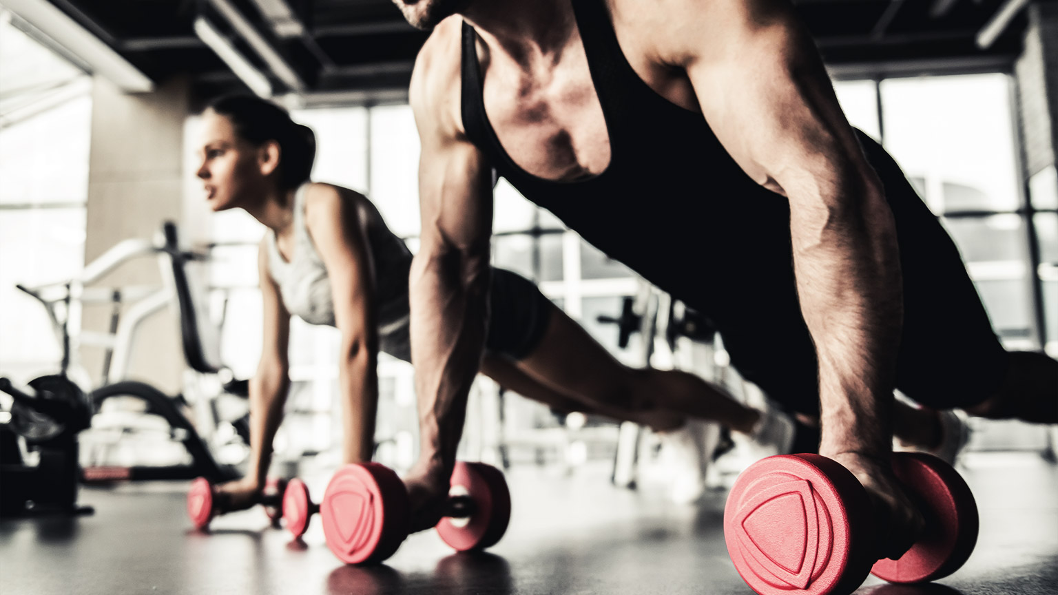 Two people working out together using dumb bells