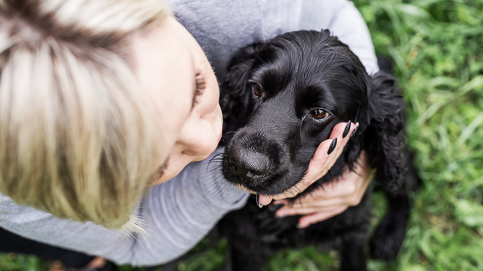 A person having an activity with their pet