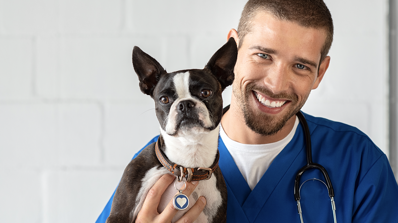 Portrait of veterinarian guy smiling while holding a puppy dog