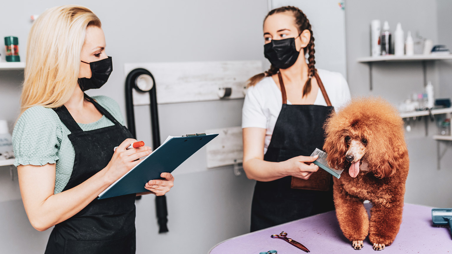 A pet groomer sharing information with a colleague