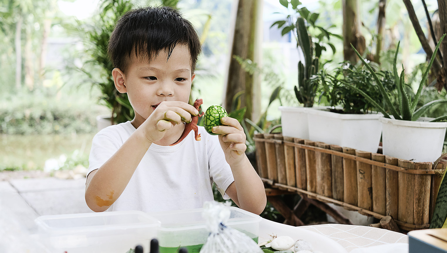  An Asian child in homebased care playing with small dinosaurs.