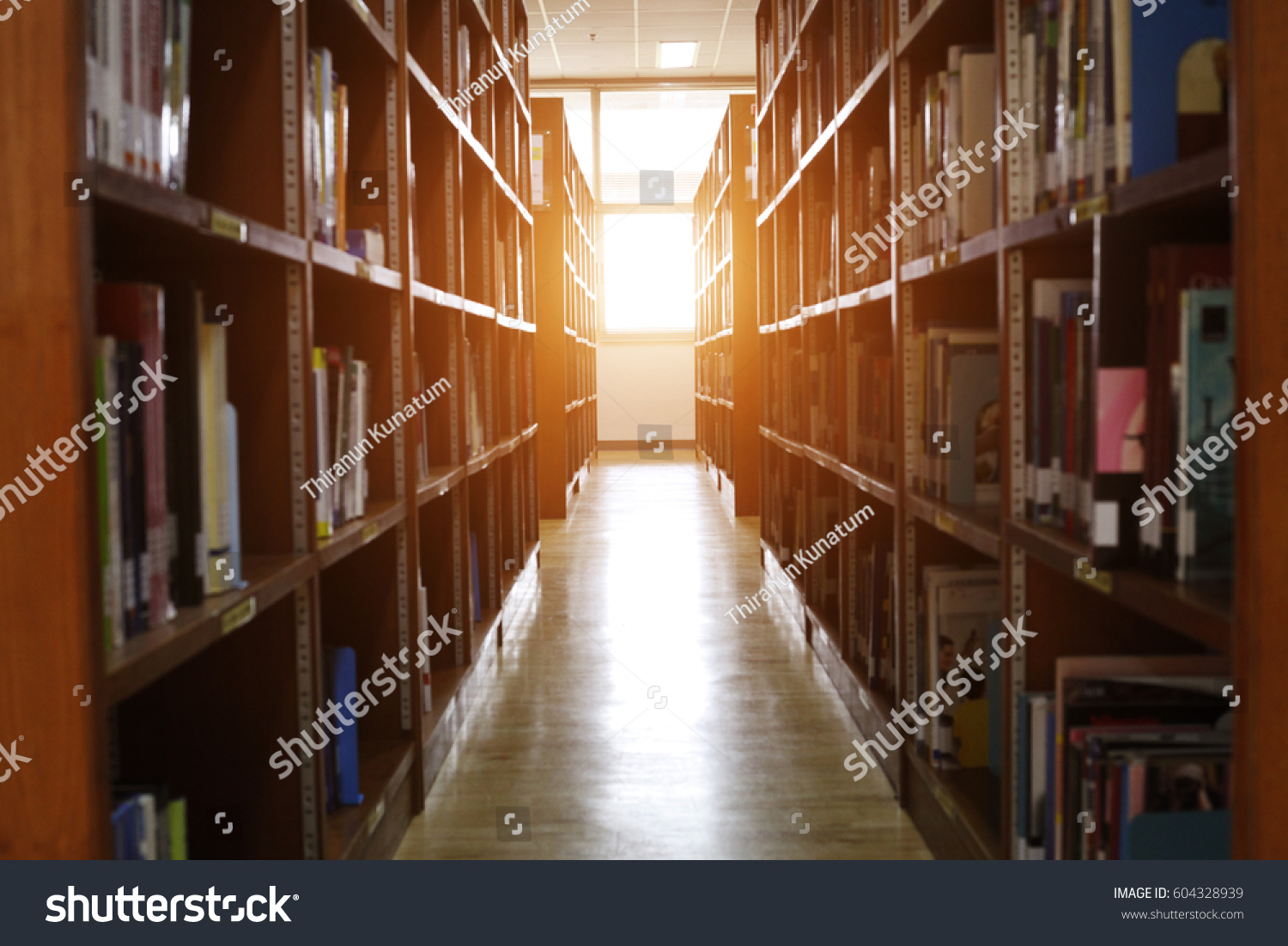 Blur image of picture library background. Library resources, including vast knowledge and sun light. School classroom in blur background. blurry view of elementary class room.