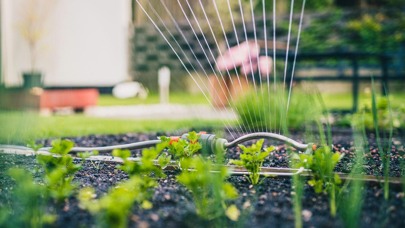 A close view of a sprinkler in a garden