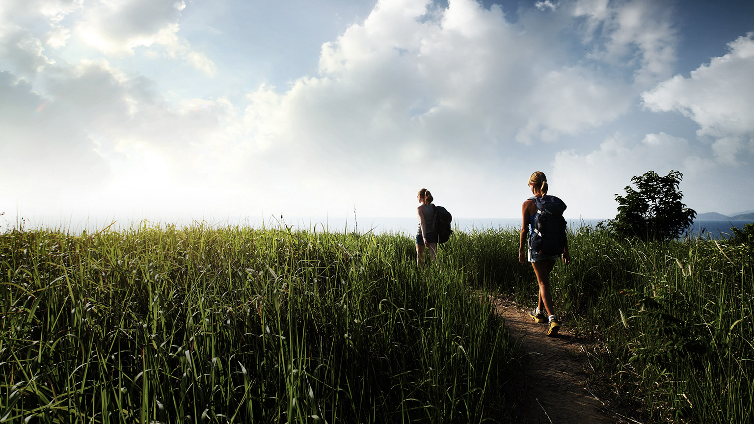 A couple of hikers walking on path