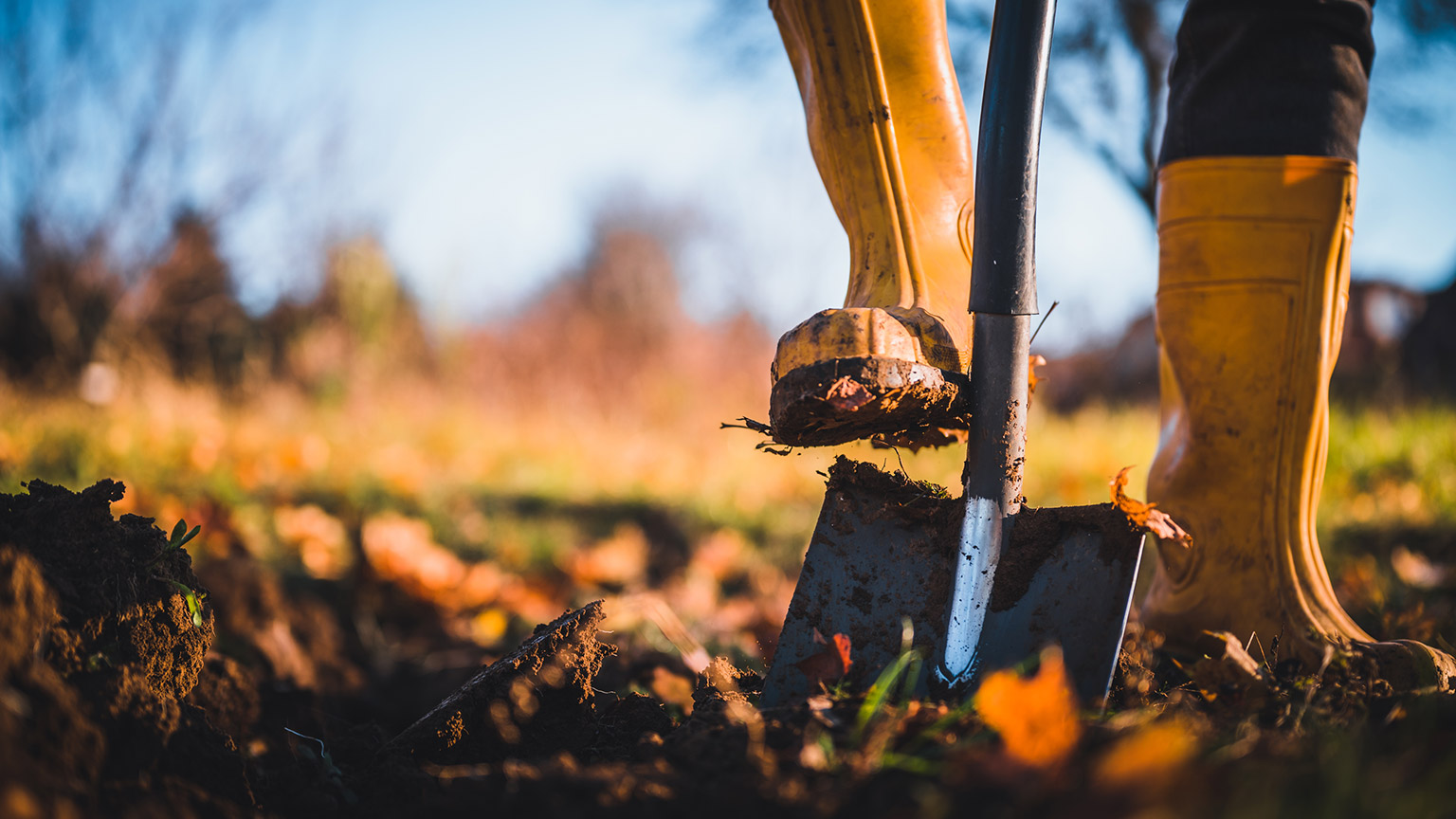 A person using a shovel to dig up a garden