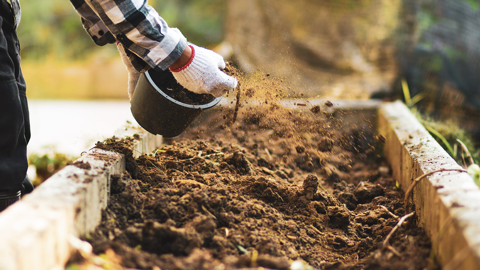 A person spreading compost on a garden