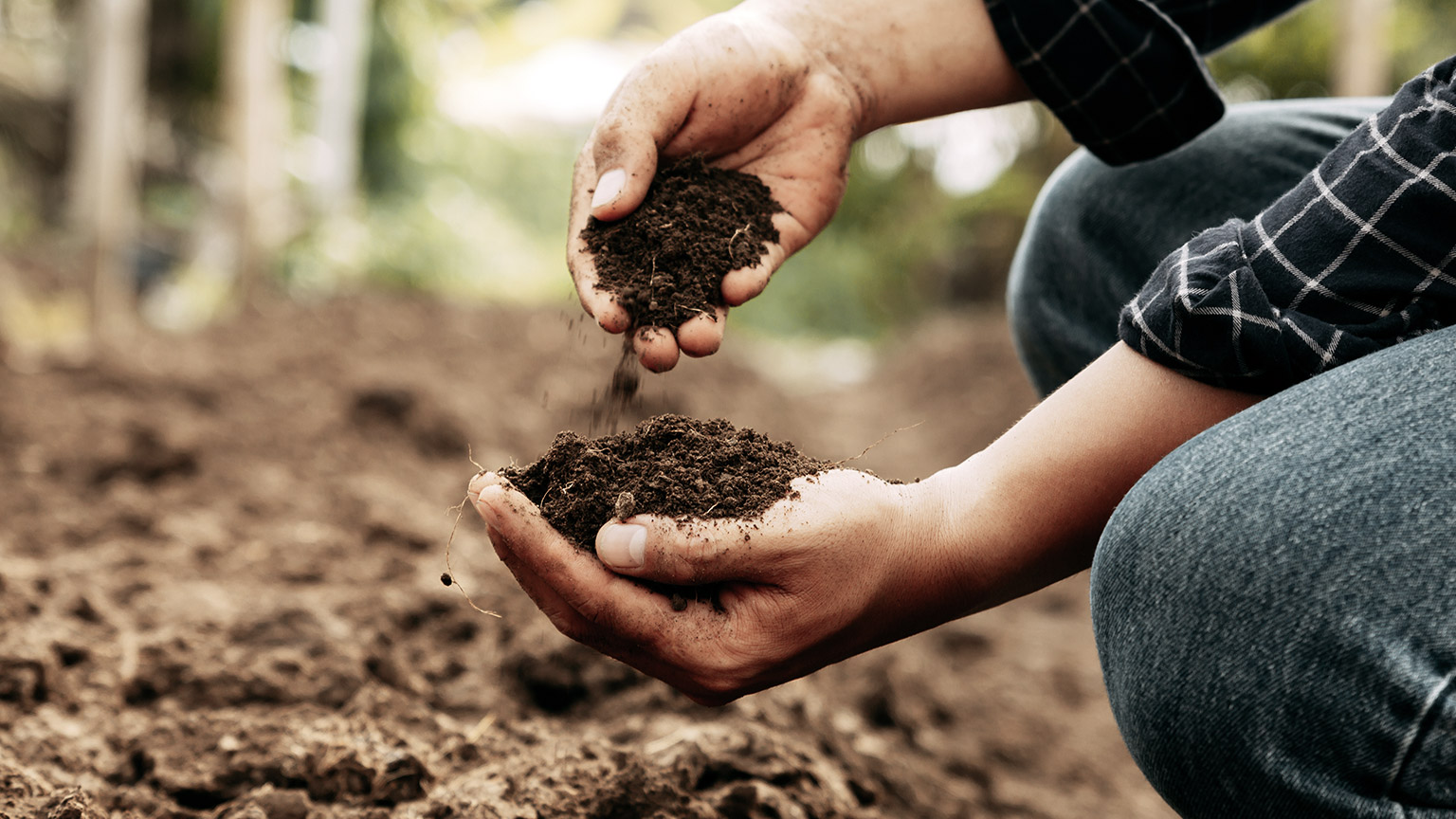 Man inspecting quality of soil