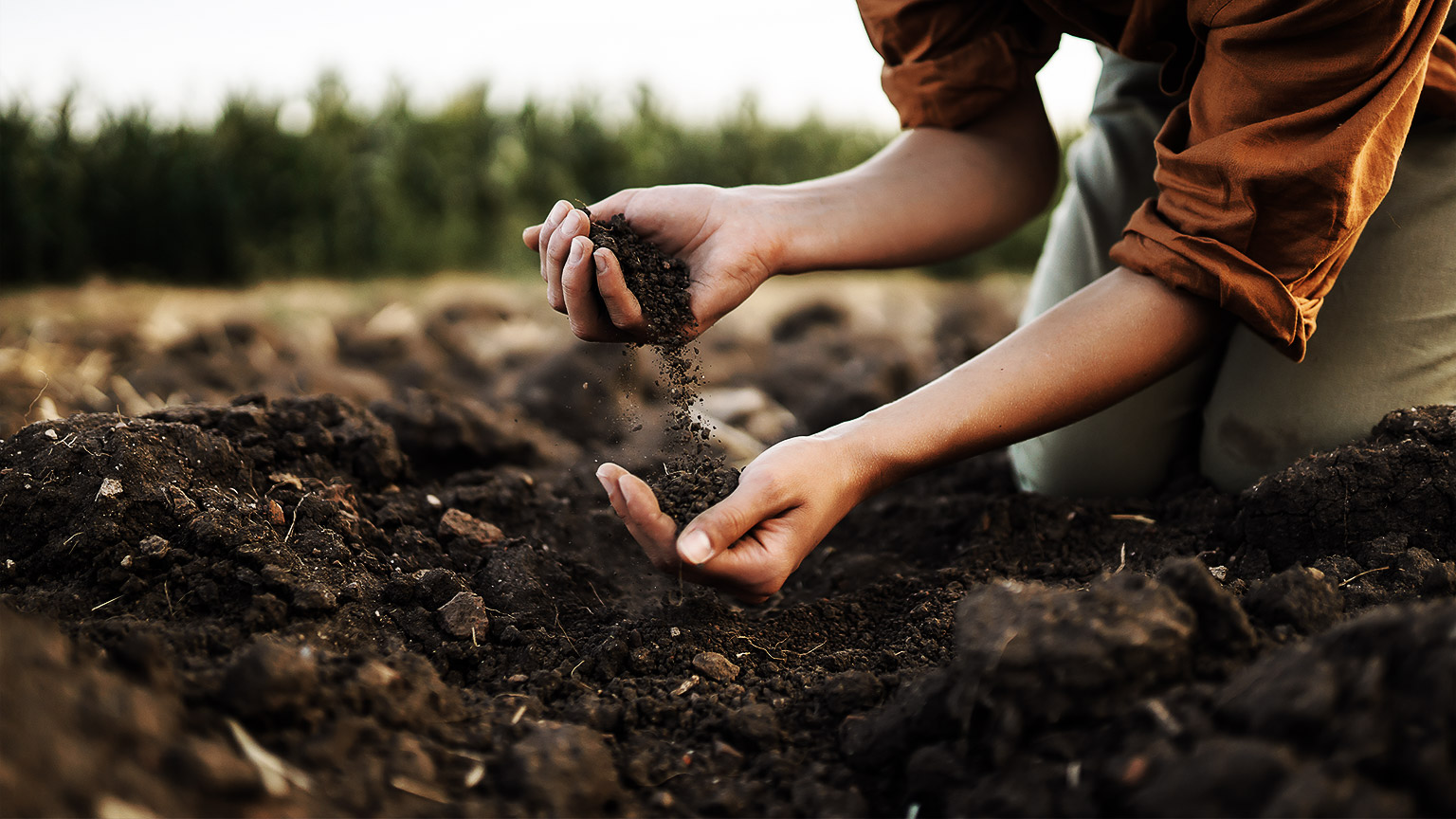 A hand holding soil testing its properties roughly