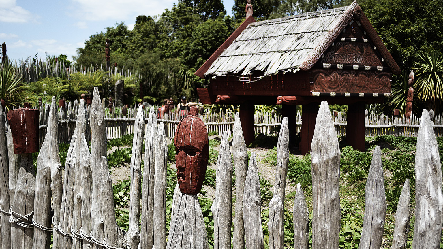 A traditional Māori garden