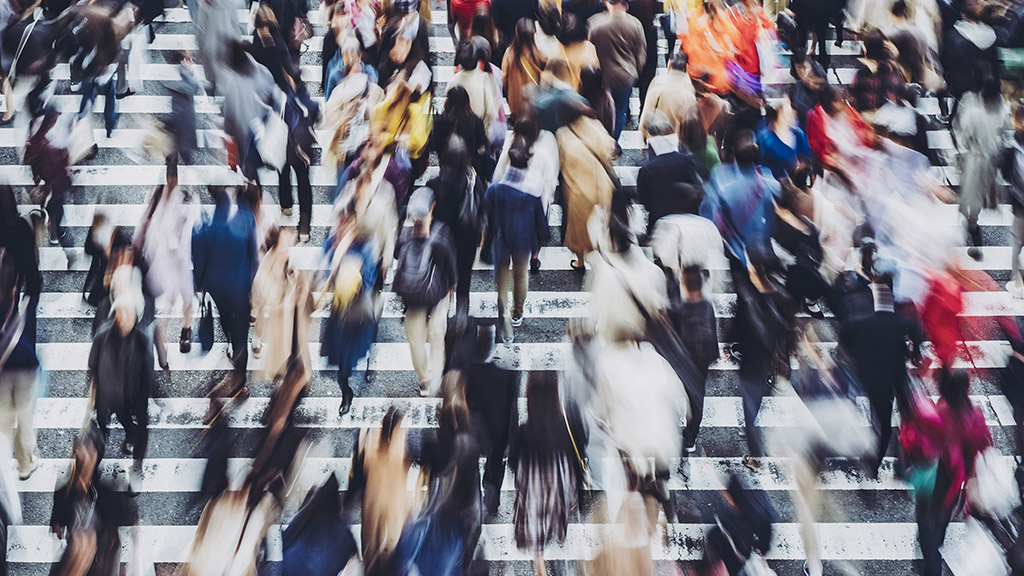 people walking on crosswalk