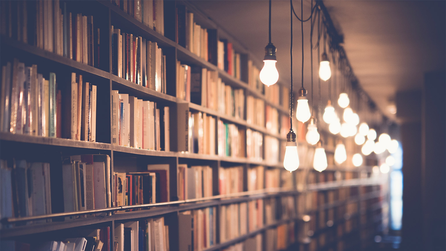 A library and rows of books under dim lighting