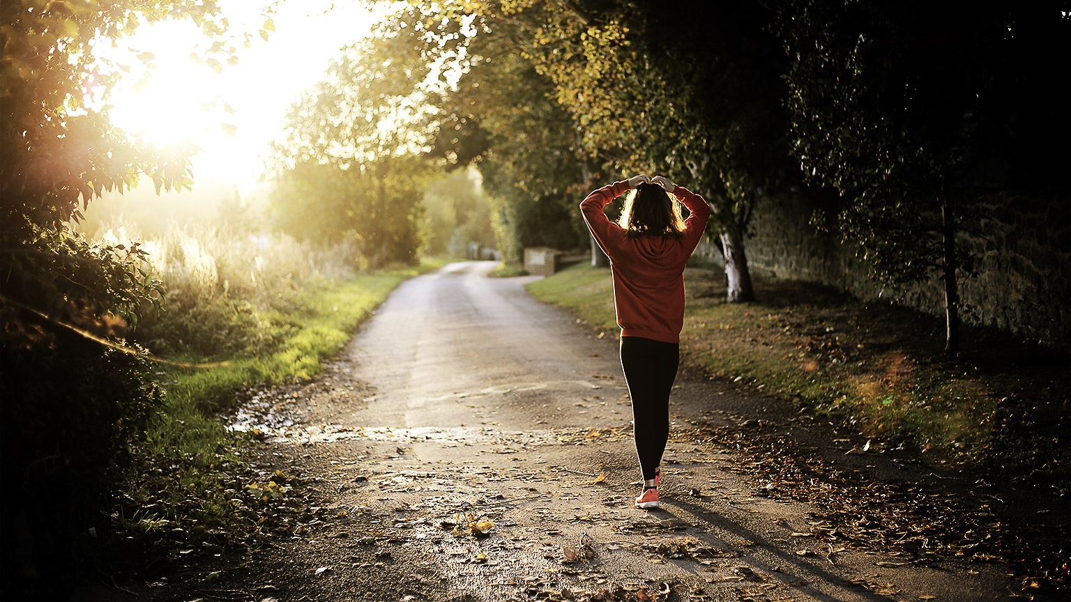 Morning jog in the countryside