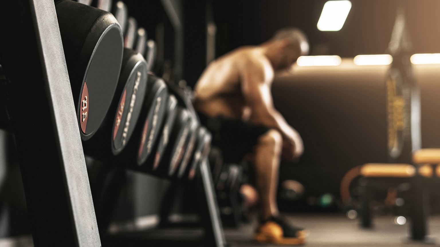 A person in a gym working out