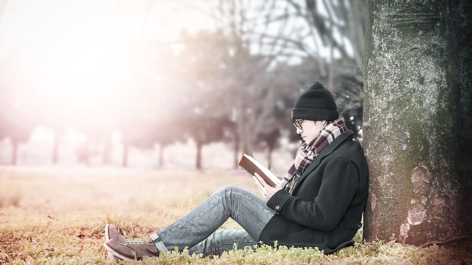 reading under the tree