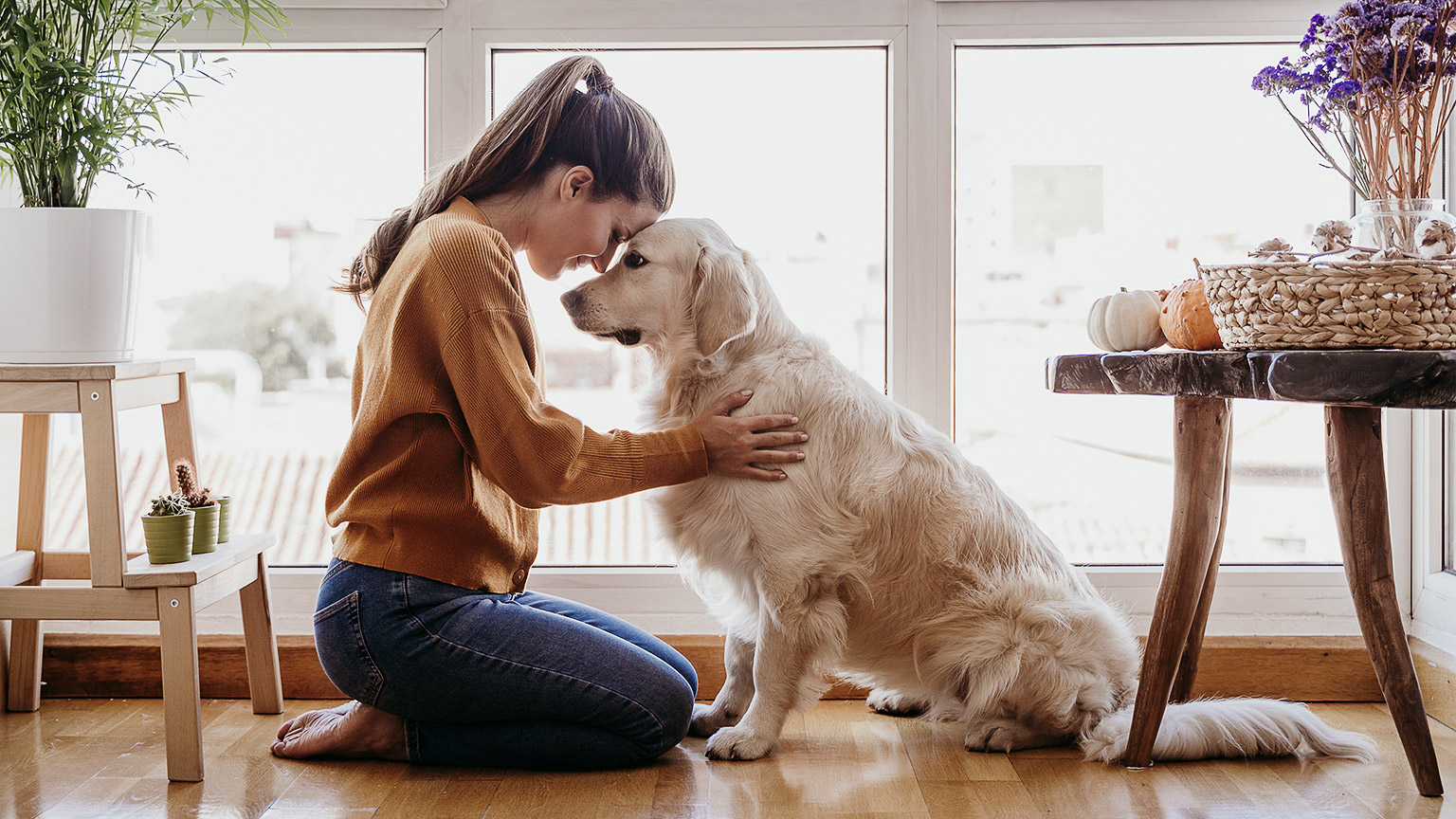 happy dog close up of face being hugged by owner