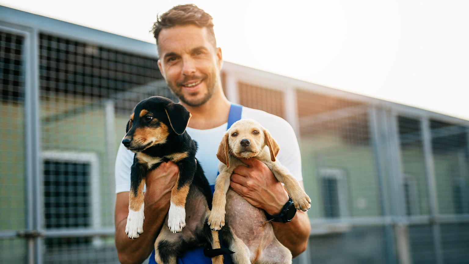 A volunteer at an animal shelter