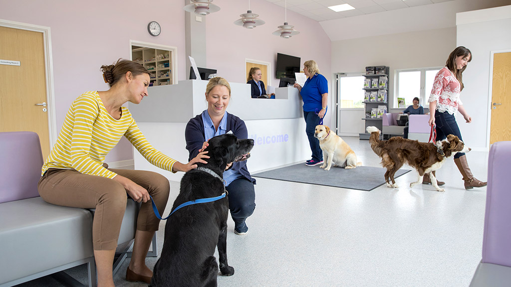 Pet dog owner with nurse in vet surgery waiting room reception