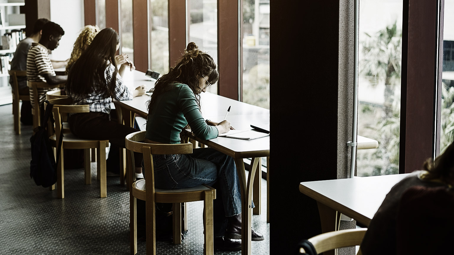 a group of students studying