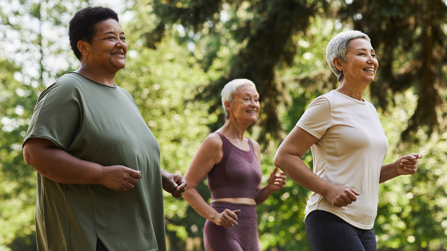 A group of mature people doing outdoor exercise