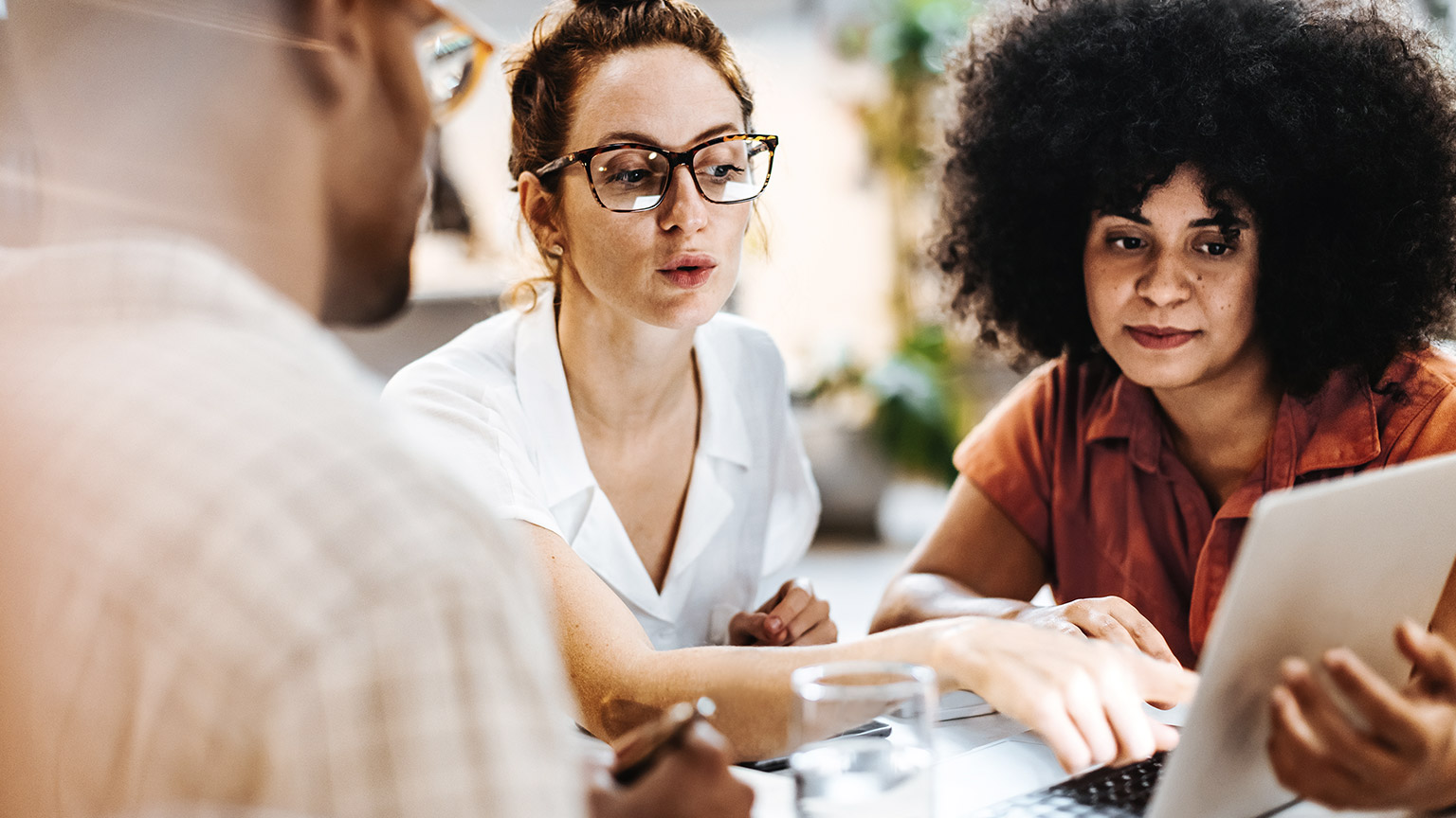 diverse people in a meeting