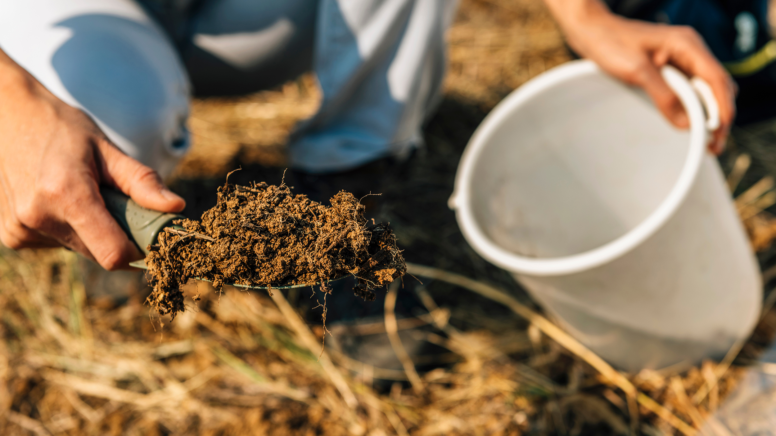 Soil testing sample being taken