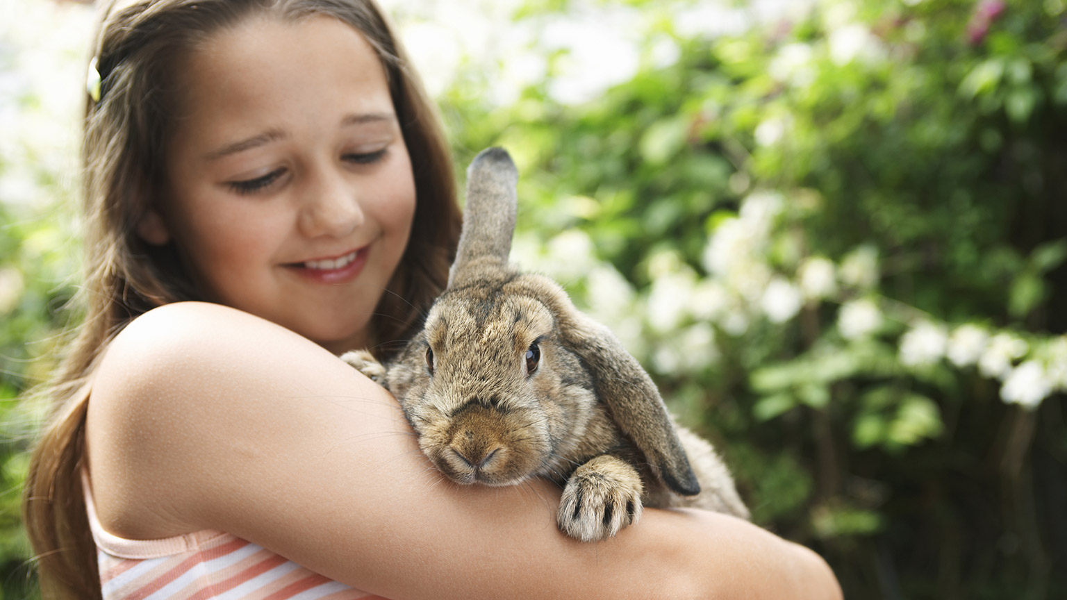 A child holding a pet rabbit
