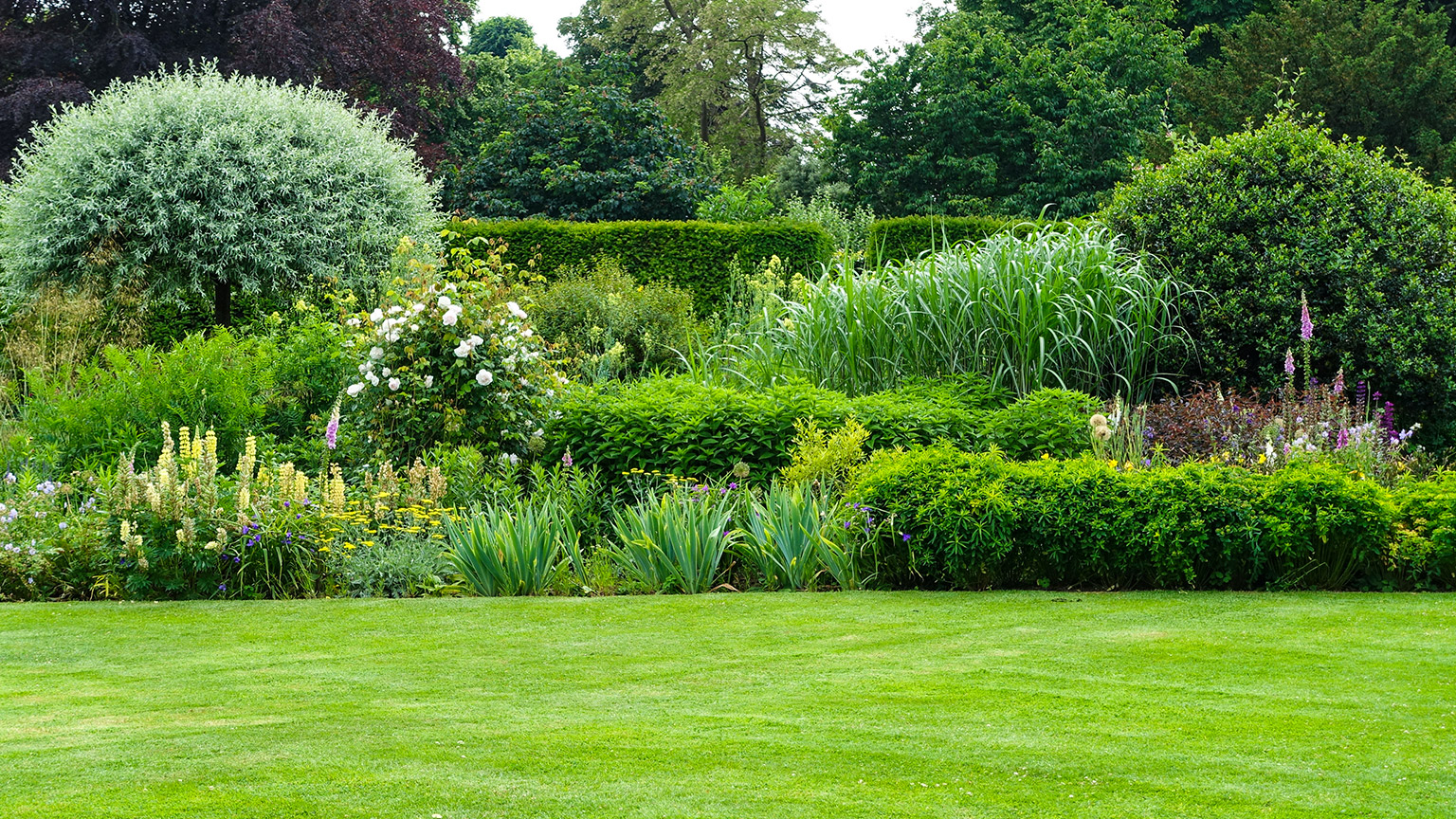 A manicured lawn and garden