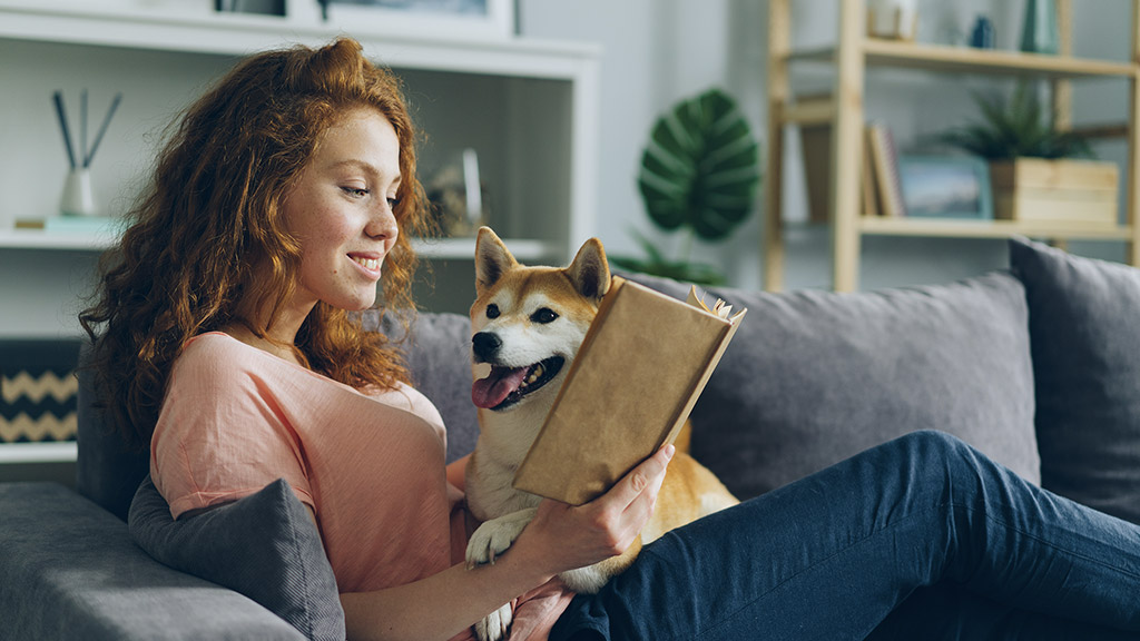 Pretty student young woman is reading book in cozy apartment smiling and petting adorable dog sitting on comfy couch at home