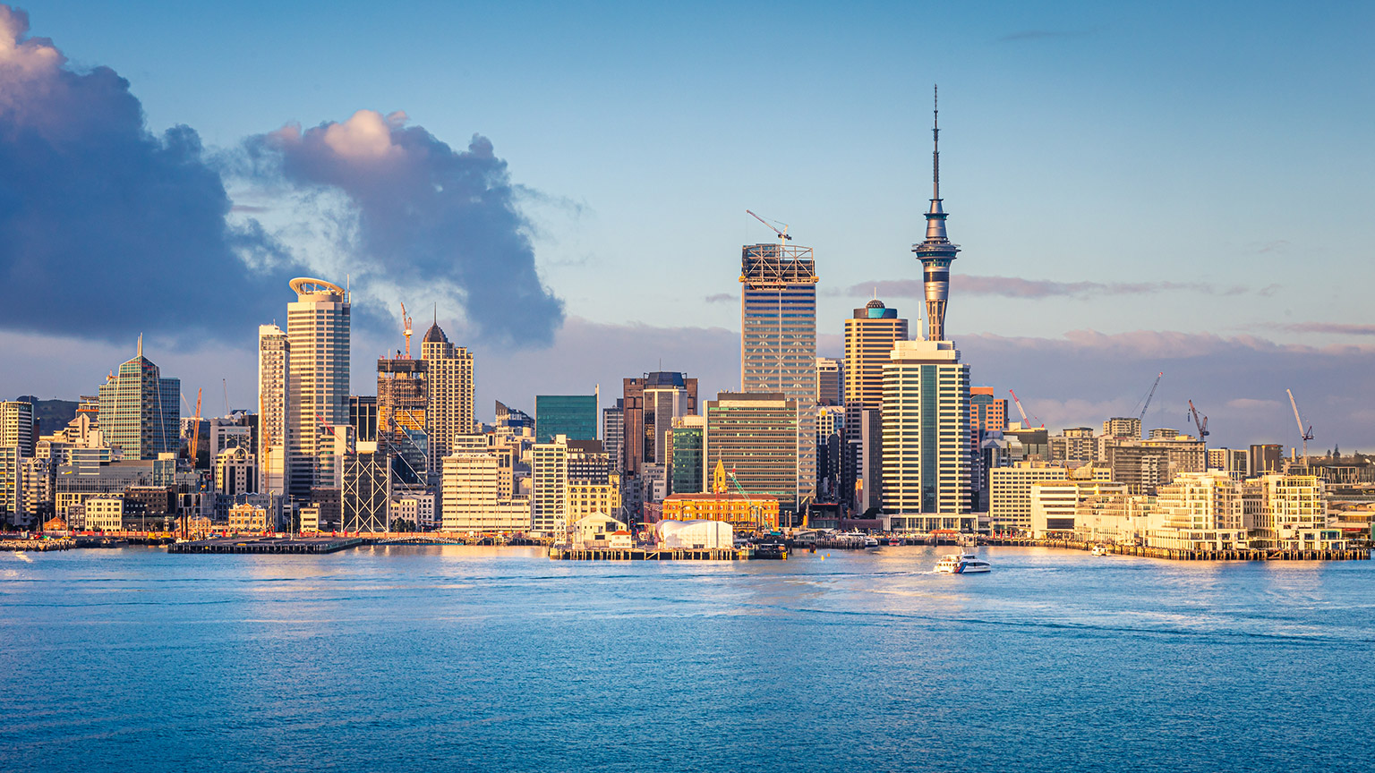 A view of the Auckland skyline