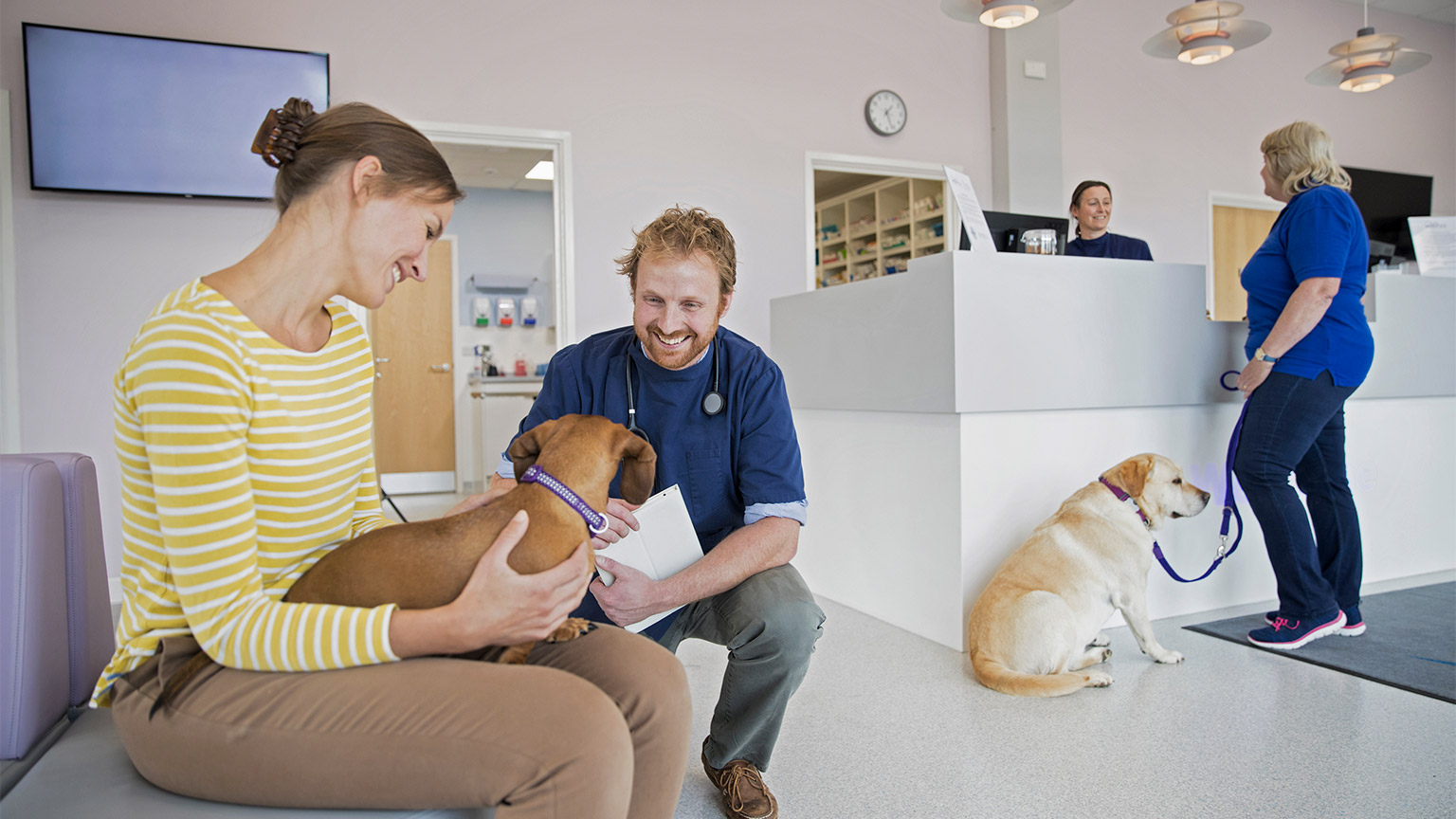 Pet dog owner in vet surgery waiting room reception