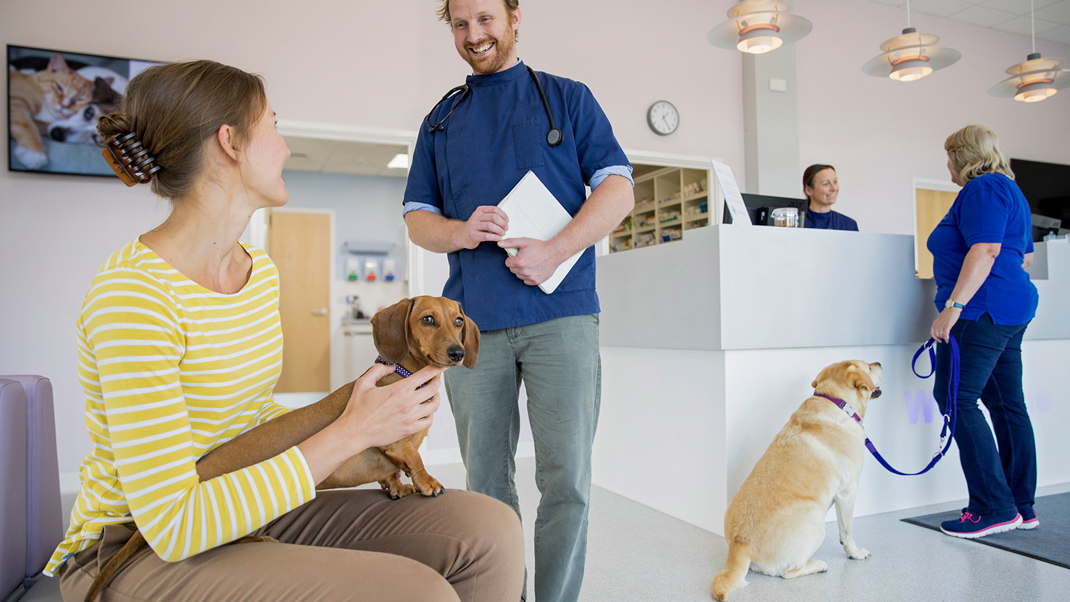 Pet dog owner in vet surgery waiting room reception