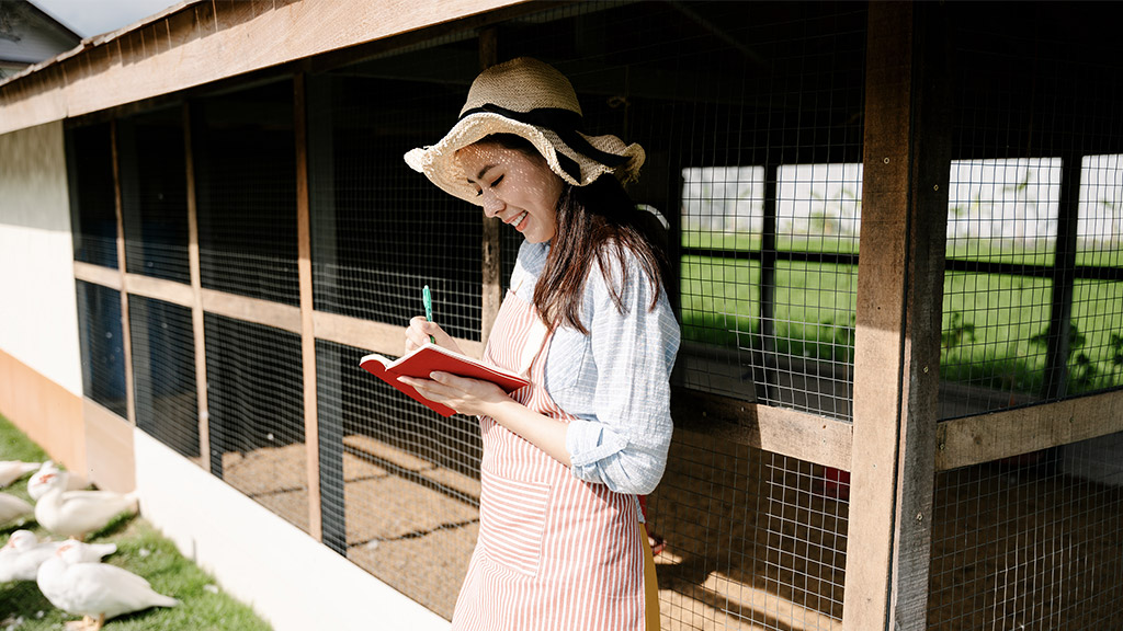 Beautiful asian farmer woman checking animal health at domestic coop farm.