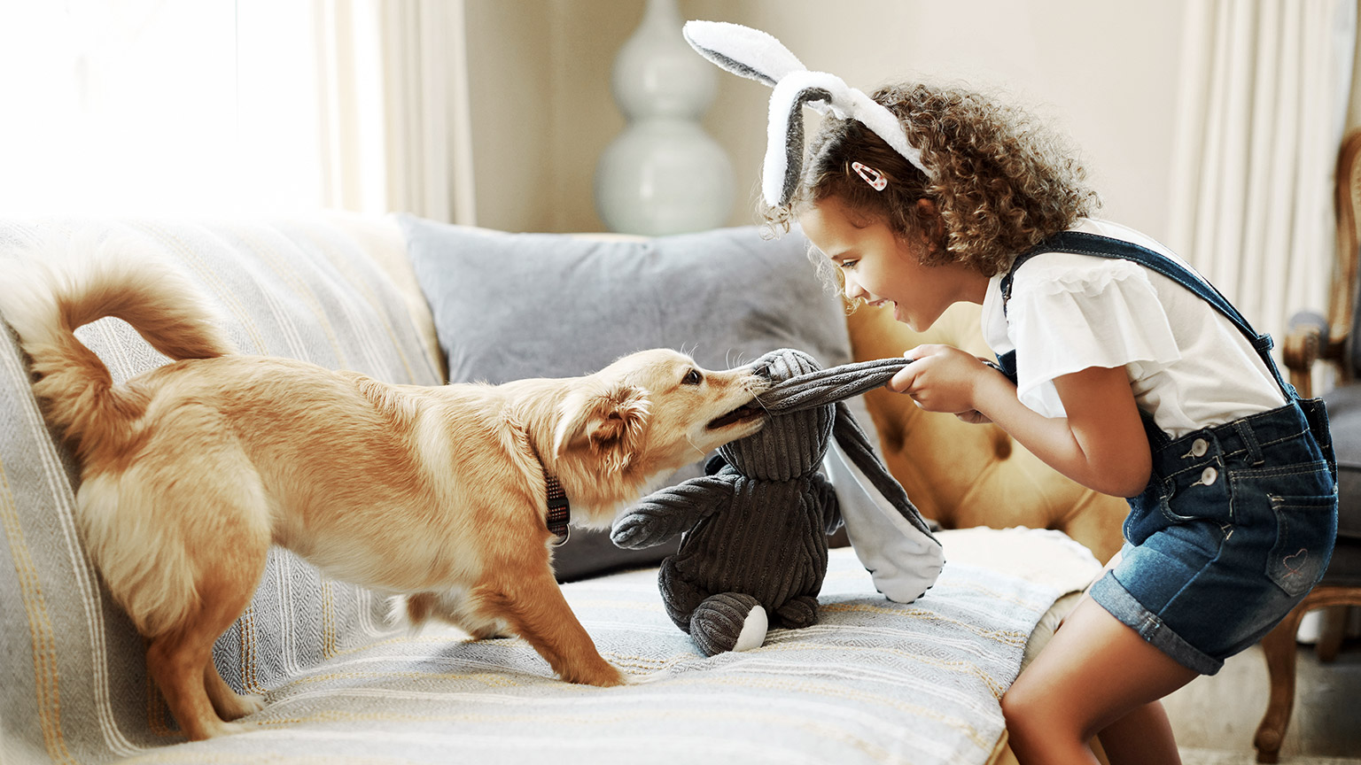 Child playing toy with dog