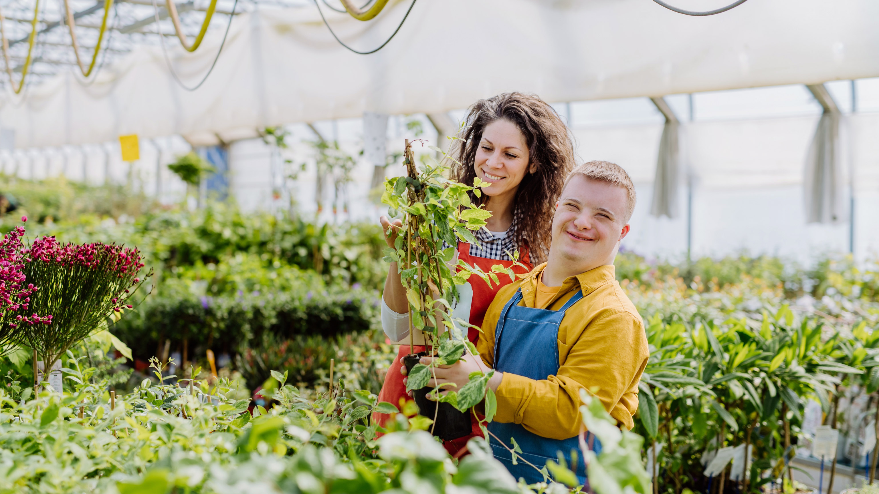 A client and carer in a garden