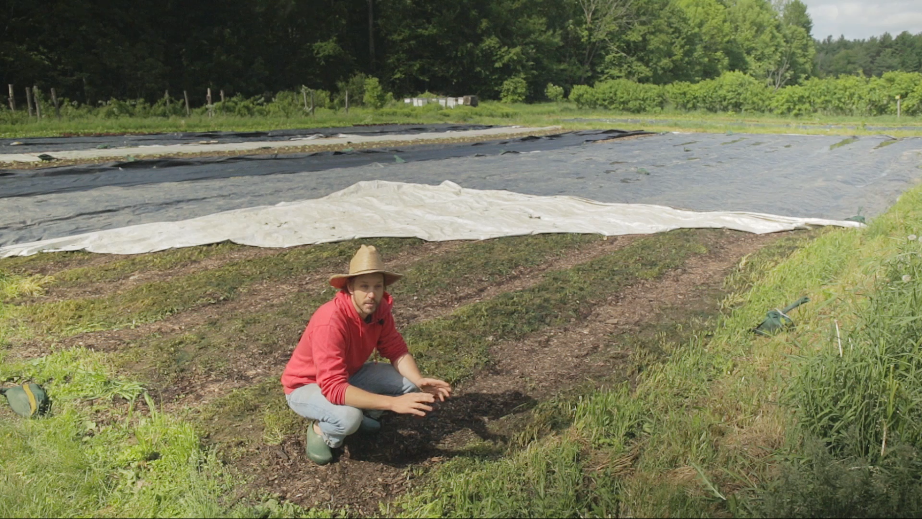 man showing green manure