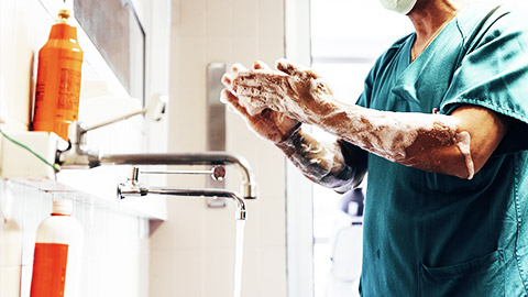 a veterinarian washing hands