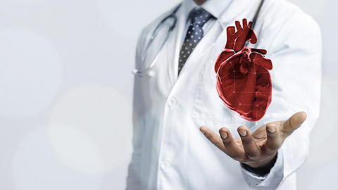 Closeup of doctor in white coat holding virtual heart in open palmCloseup of doctor in white coat holding virtual heart in open palm