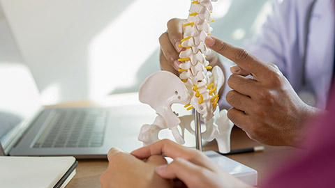 close up physical therapist hand pointing on human skeleton