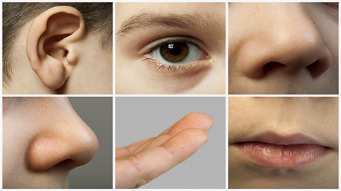 Parts from the child's face. Nose, eye, ear, lips and fingers