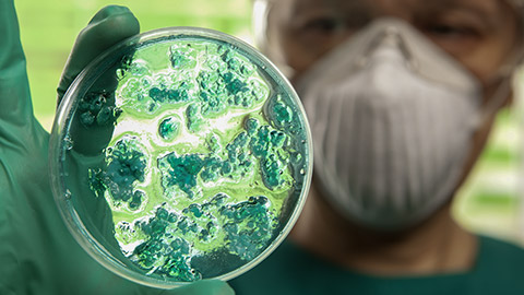 Scientist holding a petri dish with virus cells