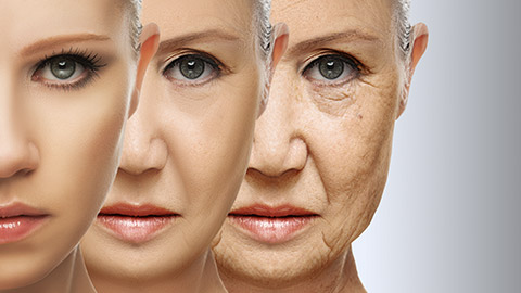 beauty concept skin aging